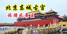 暴黄片搞鸡中国北京-东城古宫旅游风景区